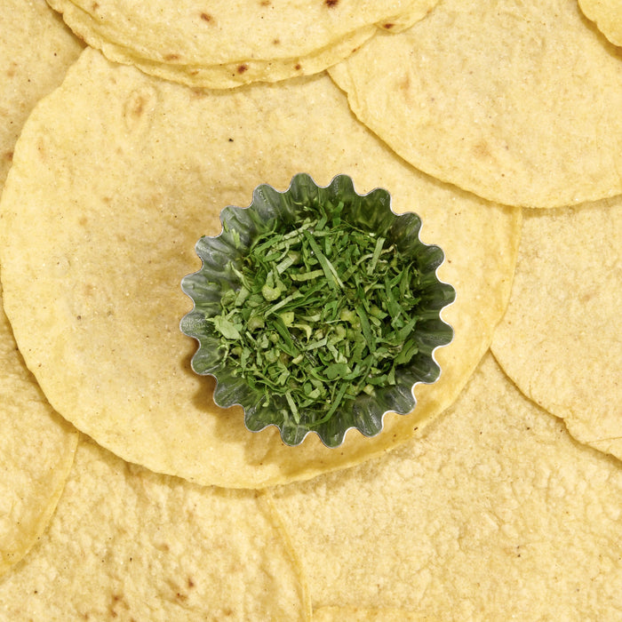 Cilantro